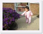 IMG_4692 * 3264 x 2448 * (2.95MB)